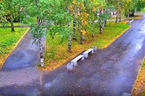 Parc Maysky sur Galushina. Webcams Arkhangelsk