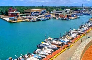 Port de pêche du Yungan. Webcams en direct Taoyuan en ligne