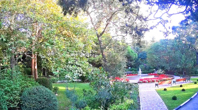 Parc du sanatorium Ai-Danil. Webcams Danilovka