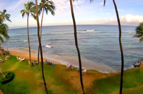 Condo Beach sur l'île de Maui. Webcams des îles hawaïennes en ligne