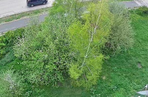 Avenue Salavat Yulaev. Angle 3. Webcams Baymak en ligne