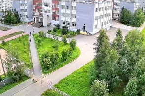 Gymnase n°1. Webcams Polyarnye Zori
