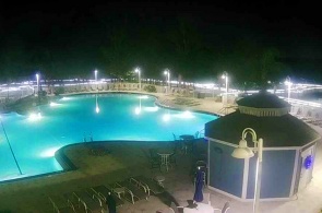 Hôtel Blue Heron Beach Resort. Buena Vista webcams en ligne