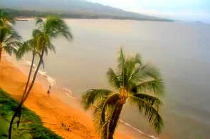 La plage du sucre. Webcams d'Honolulu en ligne