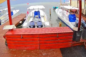 Club de plongée Roatan Divers. Webcams en ligne à Roatan