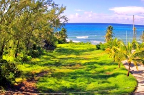 Plage des Pierres d'Argent. Webcams en ligne pour Oistins