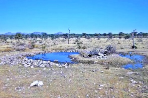 Point d'eau dans la réserve naturelle de Kambaku. Webcams Grootfontein