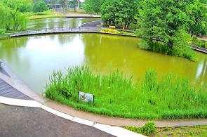 Lac Bicaz. Webcams en ligne pour Debrecen