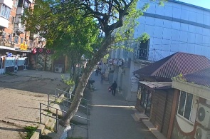 Allée Pouchkine. Webcams Afipsky en ligne