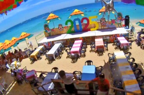 Restaurant et club de plage Mango Deck. Webcams en ligne de Cabo San Lucas