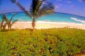 Caye de la Tortue Verte. Hôtel Bita Breeze. Webcams Bahamas